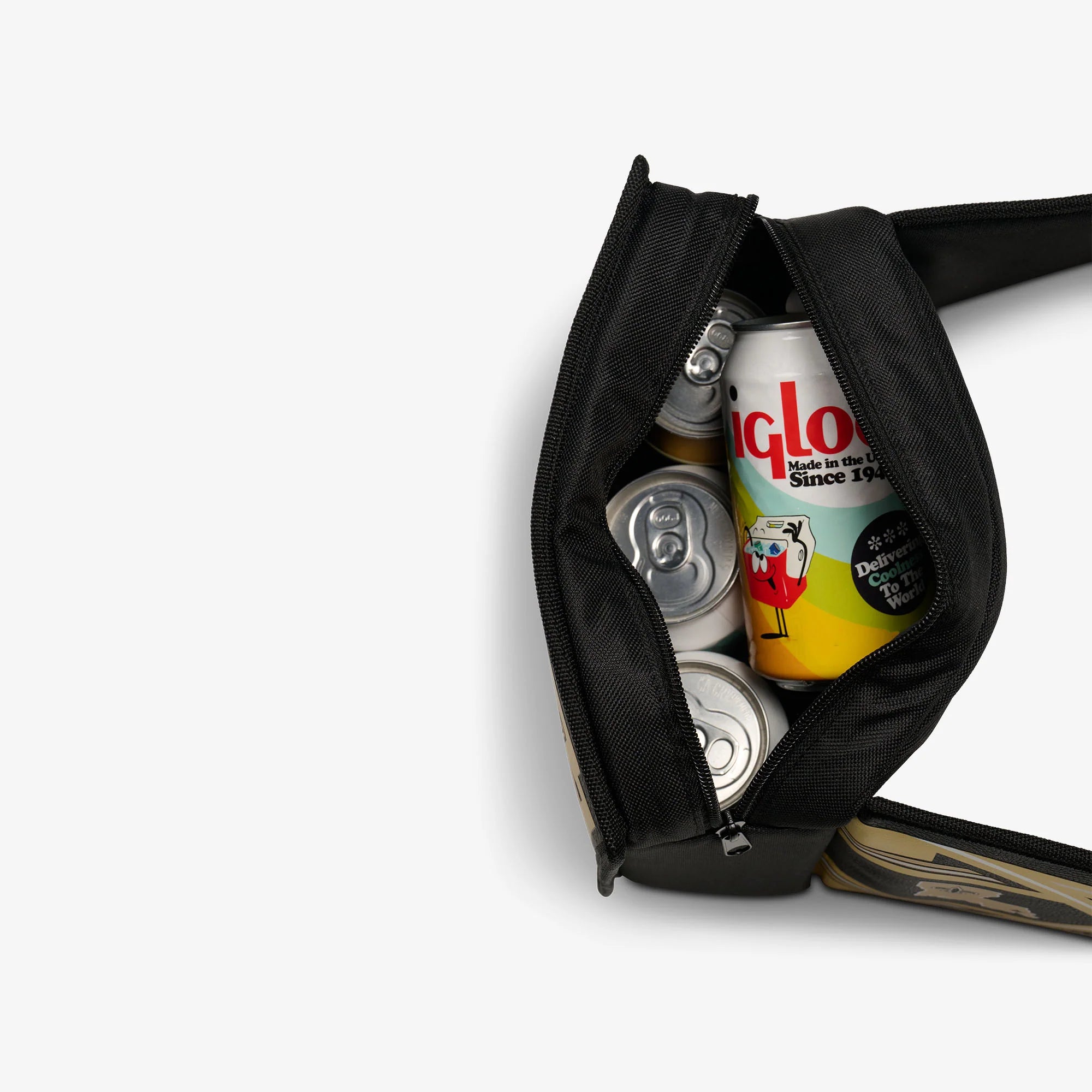 Igloo Insulated Cooler Durable Cooler NFL WWE Cooler Fanny Pack - Image 64
