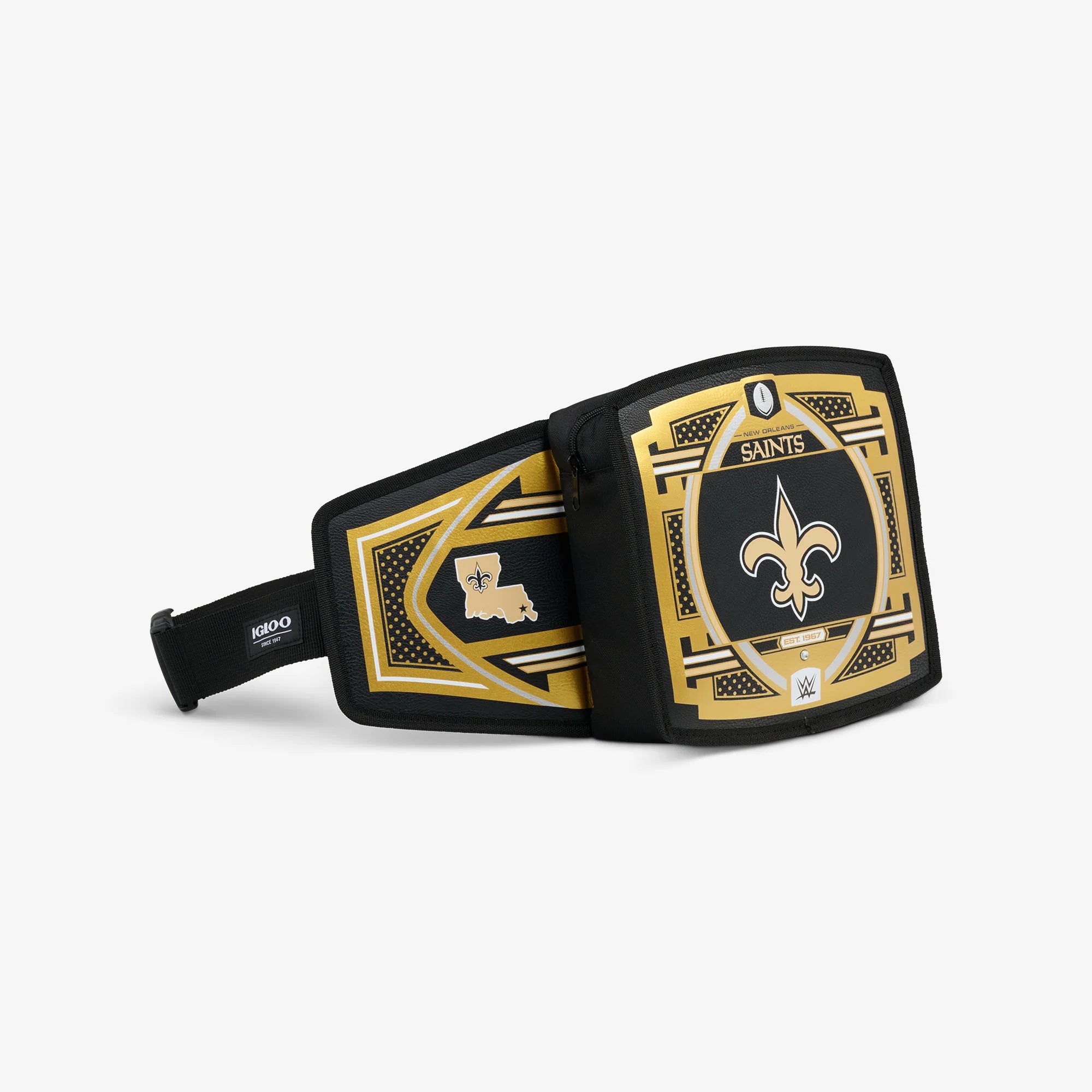 Igloo Insulated Cooler Durable Cooler NFL WWE Cooler Fanny Pack - Image 66
