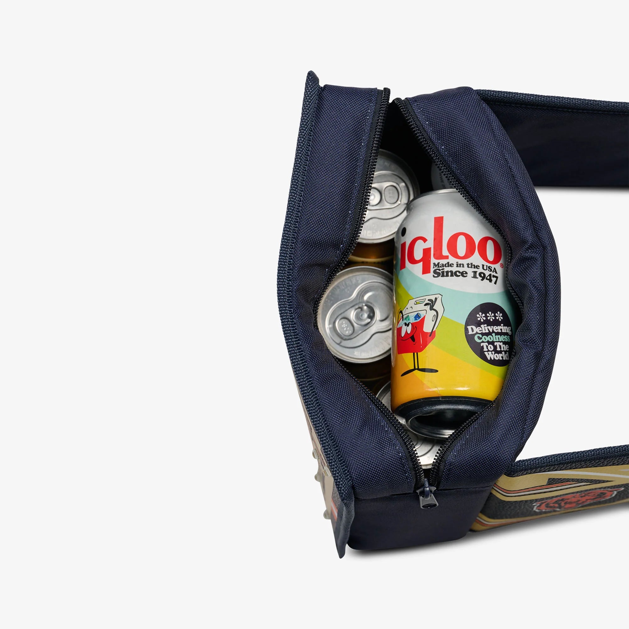 Igloo Insulated Cooler Durable Cooler NFL WWE Cooler Fanny Pack - Image 28
