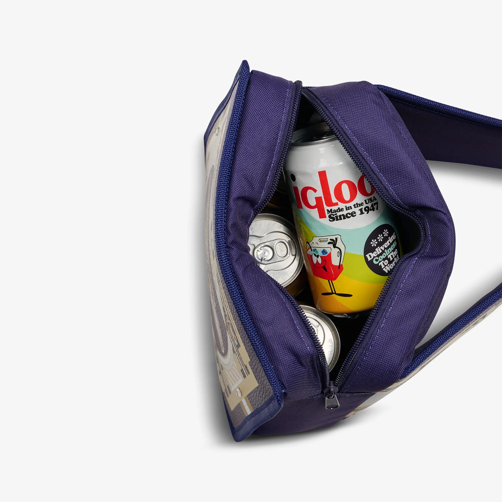 Igloo Insulated Cooler Durable Cooler NFL WWE Cooler Fanny Pack - Image 16