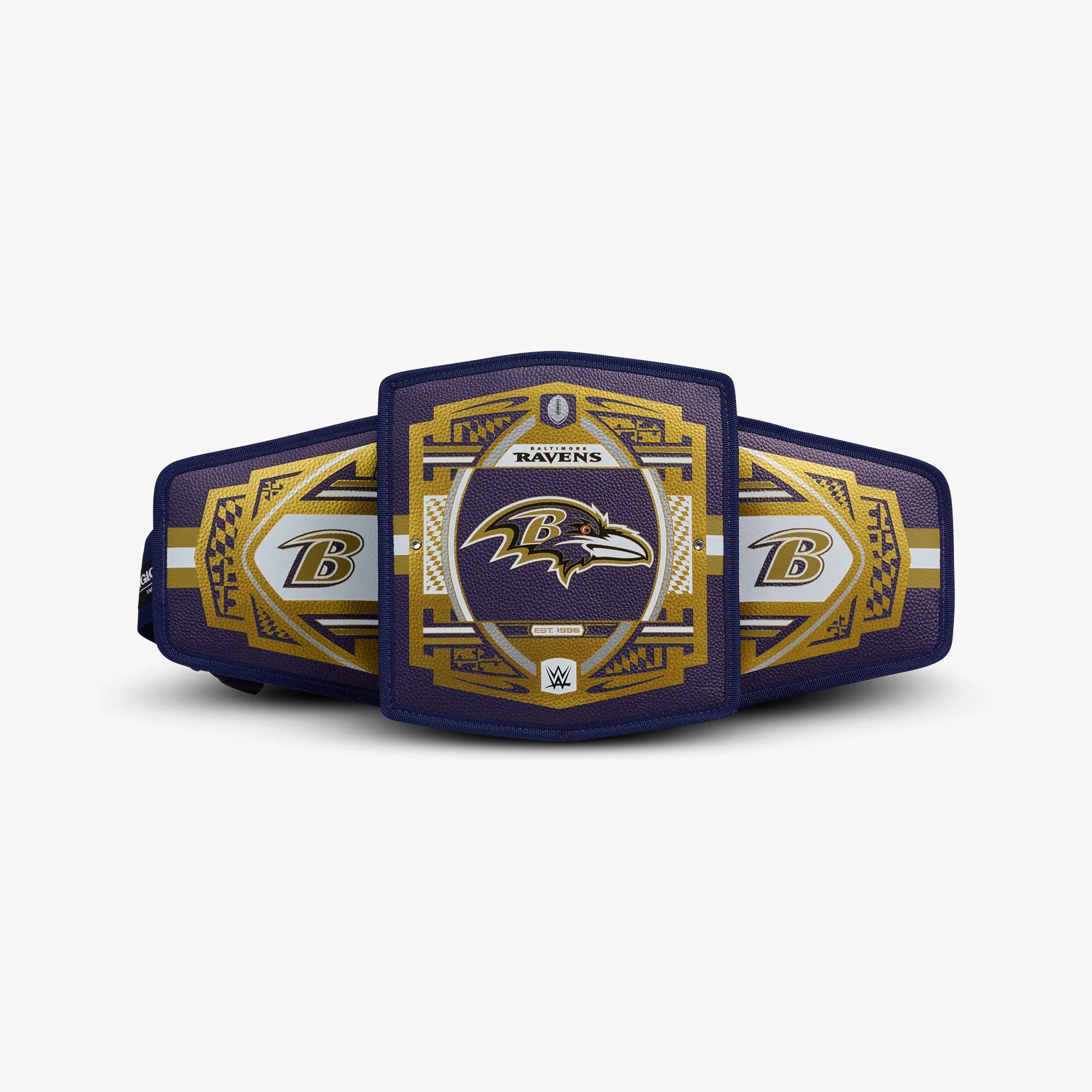 Igloo Insulated Cooler Durable Cooler NFL WWE Cooler Fanny Pack - Image 70