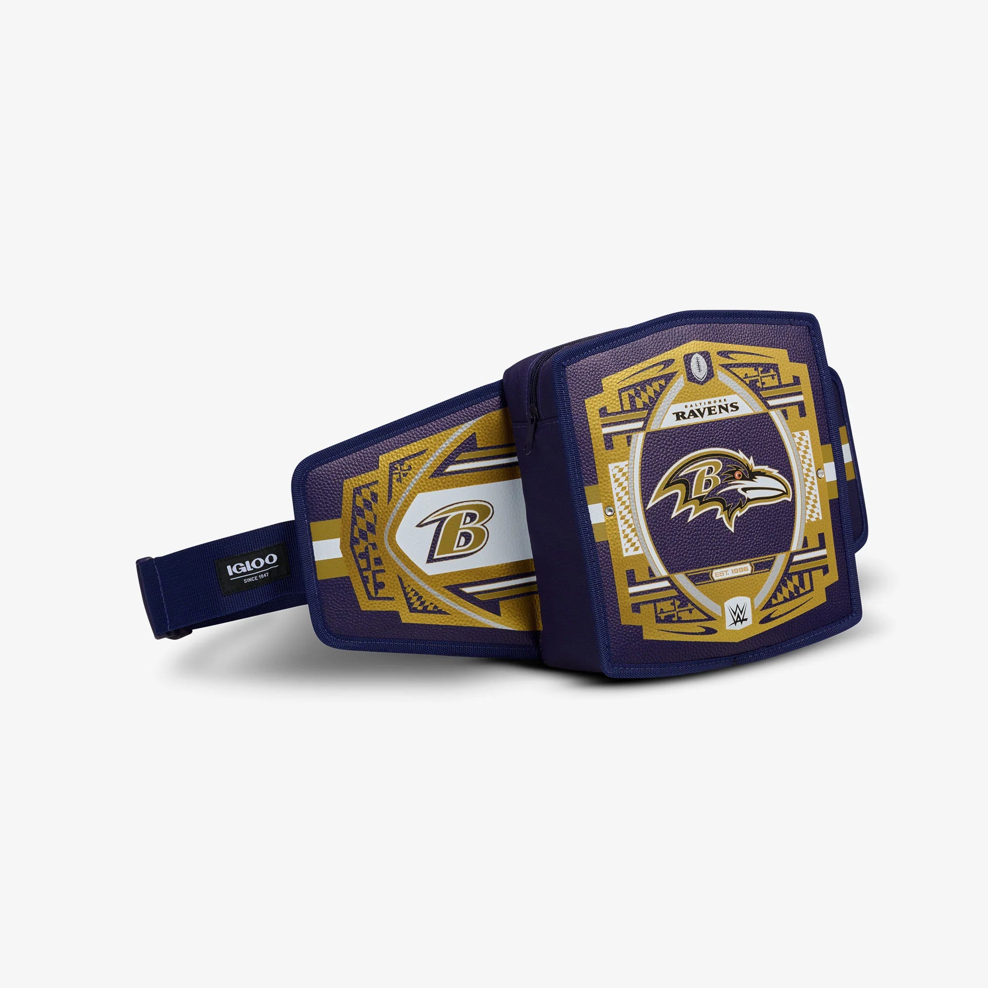 Igloo Insulated Cooler Durable Cooler NFL WWE Cooler Fanny Pack - Image 17